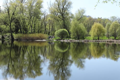 Природный оазис в центре Самары. Почему стоит посетить ботанический сад