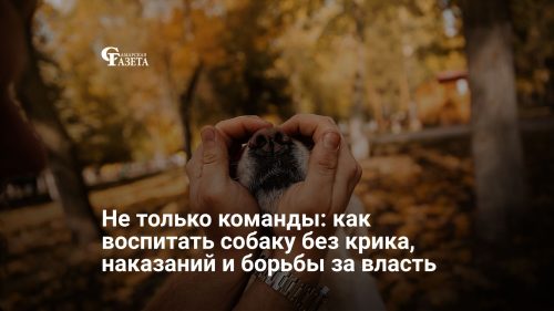 Не только команды: как воспитать собаку без крика, наказаний и борьбы за власть