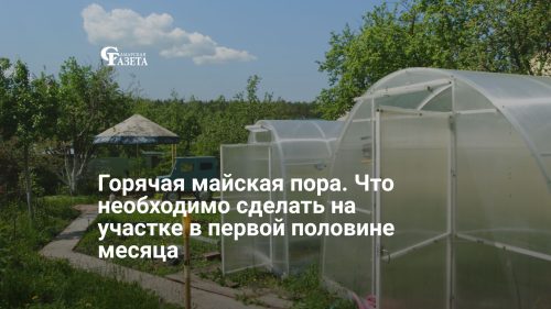 Горячая майская пора. Что необходимо сделать на участке в первой половине месяца