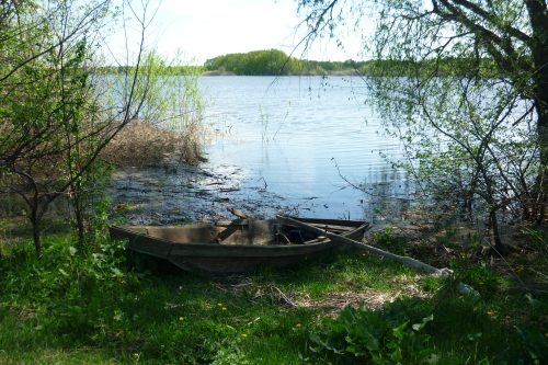 Заволжская Венеция. Где недалеко от Самары посмотреть на царство озер, проток и заливных лугов