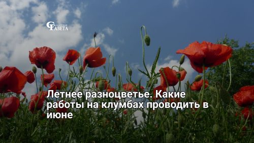 Летнее разноцветье. Какие работы на клумбах проводить в июне